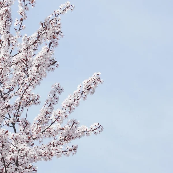 赌博网站棋牌游戏